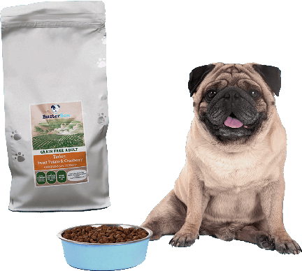 BusterboxdDog food